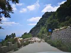 -白草畔自然风景区