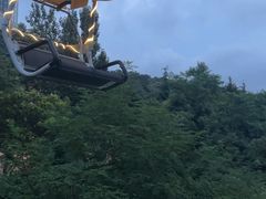 -富斯特索道