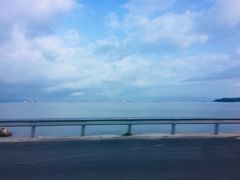 -广东惠东海龟国家级自然保护区