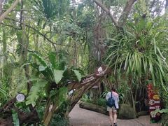 -绿光森林餐厅