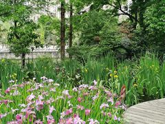 -成都市活水公园