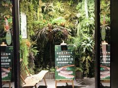 门面-狐狸爱上椰子鸡(滨江星光大道店)