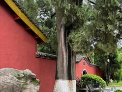 -武侯墓风景区