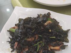 -泉龙渔村·粤式早茶·金牌烧鹅(中山三乡店)