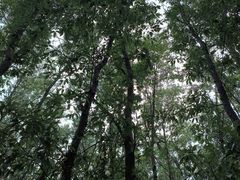 -南京市无想山景区