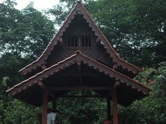 -东莞植物园