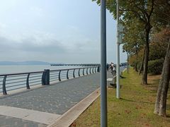 -深圳湾公园(南山区)