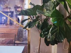 -KYO COFFEE(胶州路店)