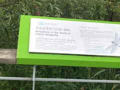 -西湖风景区-江洋畈生态公园