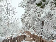 -塔云山