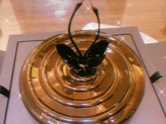 -BLACKSWAN黑天鹅(环球店)