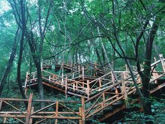 -大岭沟猕猴桃谷风景区