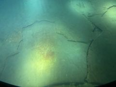 -白鹤梁水下博物馆