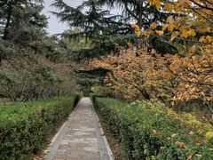 -山东大学(千佛山校区)