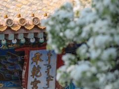 -故宫博物院(故宫)