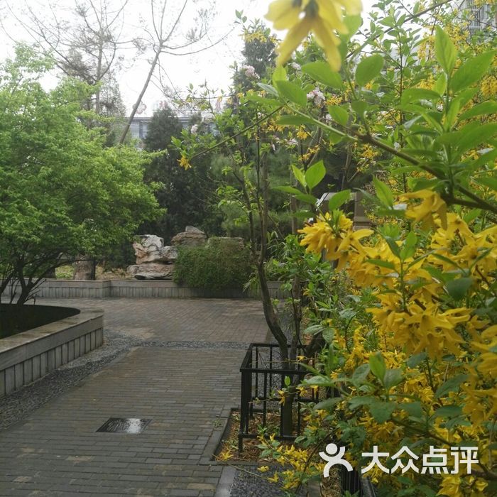 安贞社区街心公园