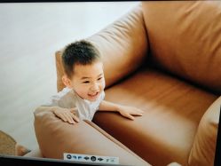 点击看大图 -苹果树儿童摄影工作室