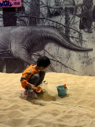 点击看大图 -恐龙探索乐园(磁器口店)