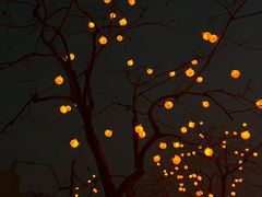 -爱新觉罗福臨火锅馆(万科滑雪场店)