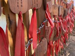 -黄龙溪欢乐田园