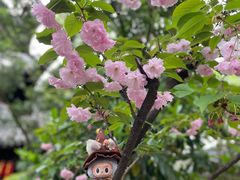 -龙华寺