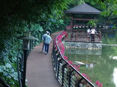 -月亮湾公园