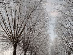 -雾凇岛