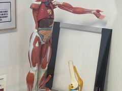 -体博士·疼痛调理·体态矫正·运动康复中心(大望路华贸店)