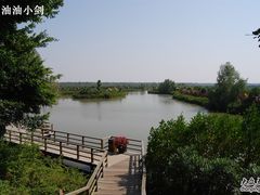 -大湾区中央湿地公园