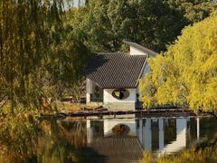 -上海共青森林公园