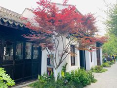 -老阊门菜馆(山塘街店)