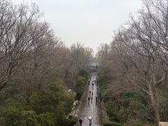 -灵谷景区