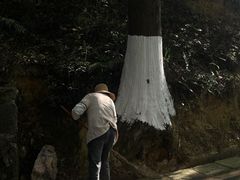 -贵州省植物园
