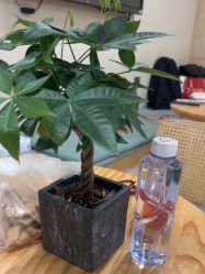 点击看大图 -归位瑜伽&普拉提馆