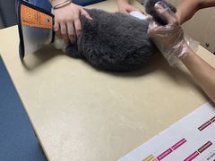 -宠颐生宠物医院外科·内科·皮肤科·影像科(石龙店)