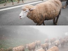 -乌蒙大草原