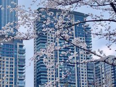 -西北湖绿化广场