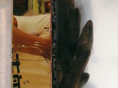 -小乡小镇·传承桐庐土菜·老板亲自烧的菜