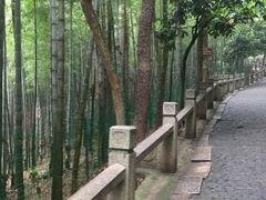 -灵岩山风景区