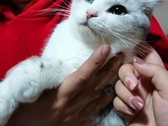 -久久宠物(河东万达店)