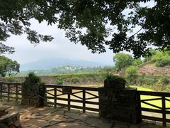 -许家山