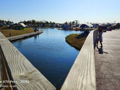 -春花秋色城市公园