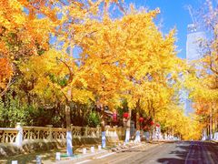 -八大关景区