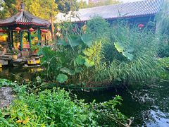 -白家大院·王府宫廷菜(苏州街店)