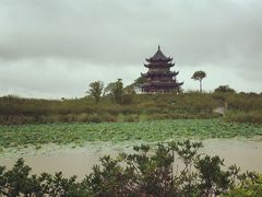 iphone_upload_pic-上海海湾国家森林公园