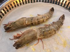 -熊出没日本烧肉放题