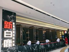 -新白鹿餐厅(滨江银泰店)