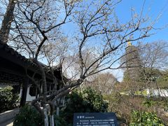-红梅公园