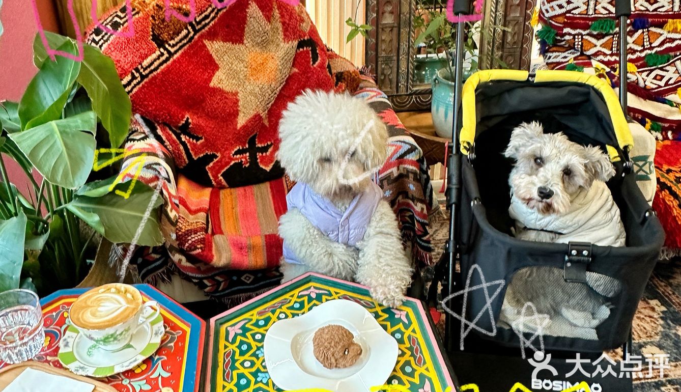 回龙观！首开LONG街最值得打卡的咖啡店