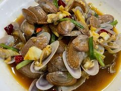 葱油炒花蛤-红灯笼龙凤饭店(宁波老字号店)